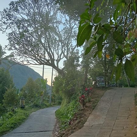 Jepun Homestay Lemukih Singaraja Екстериор снимка