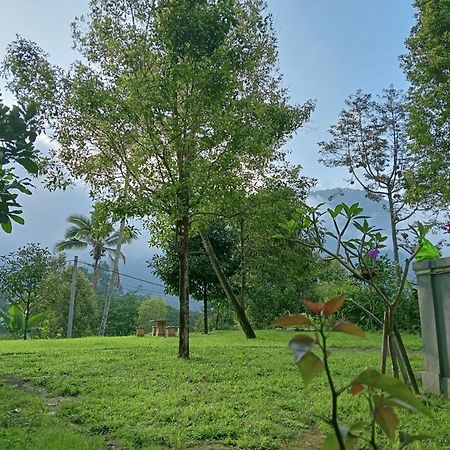 Jepun Homestay Lemukih Singaraja Екстериор снимка