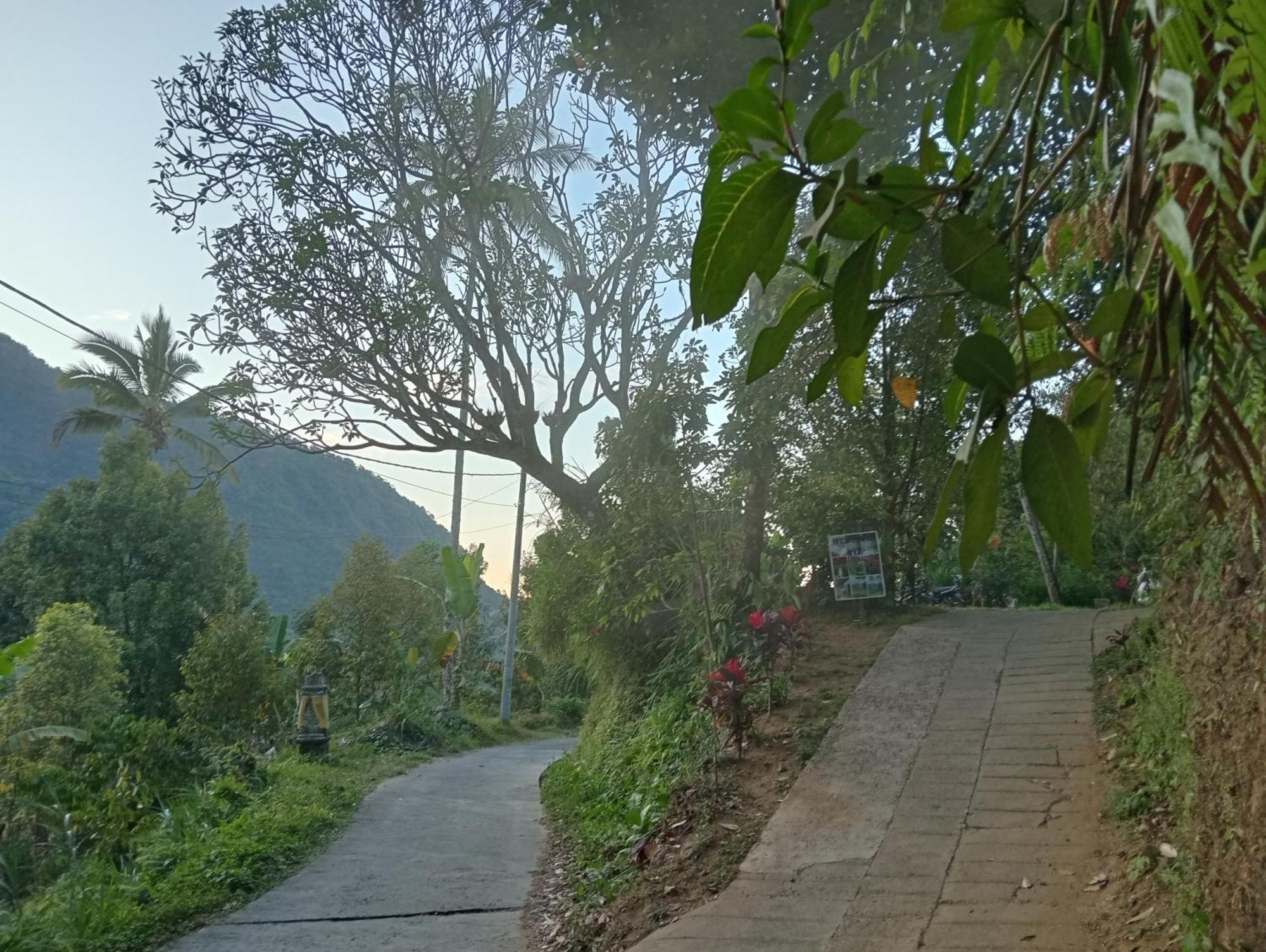 Jepun Homestay Lemukih Singaraja Екстериор снимка